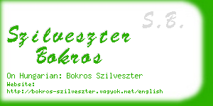 szilveszter bokros business card